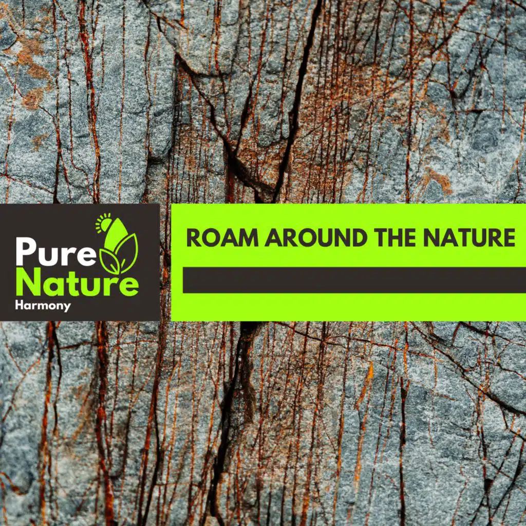 Roam Around The Nature