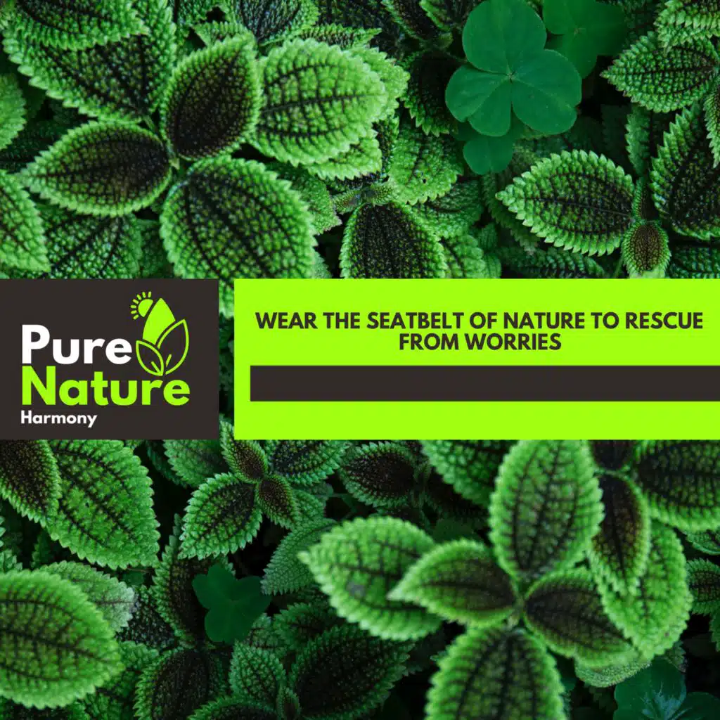 Rain Cloud Nature Music