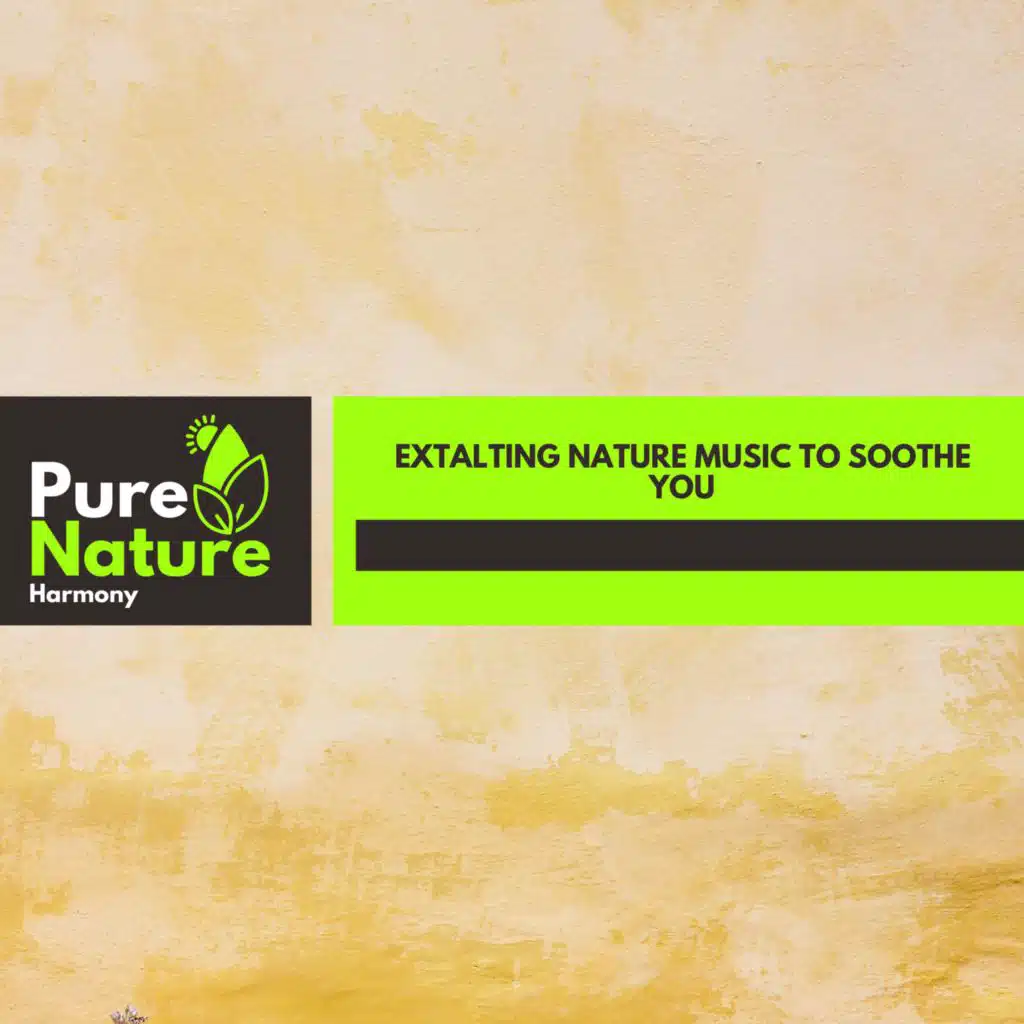 Extalting Nature Music to Soothe You