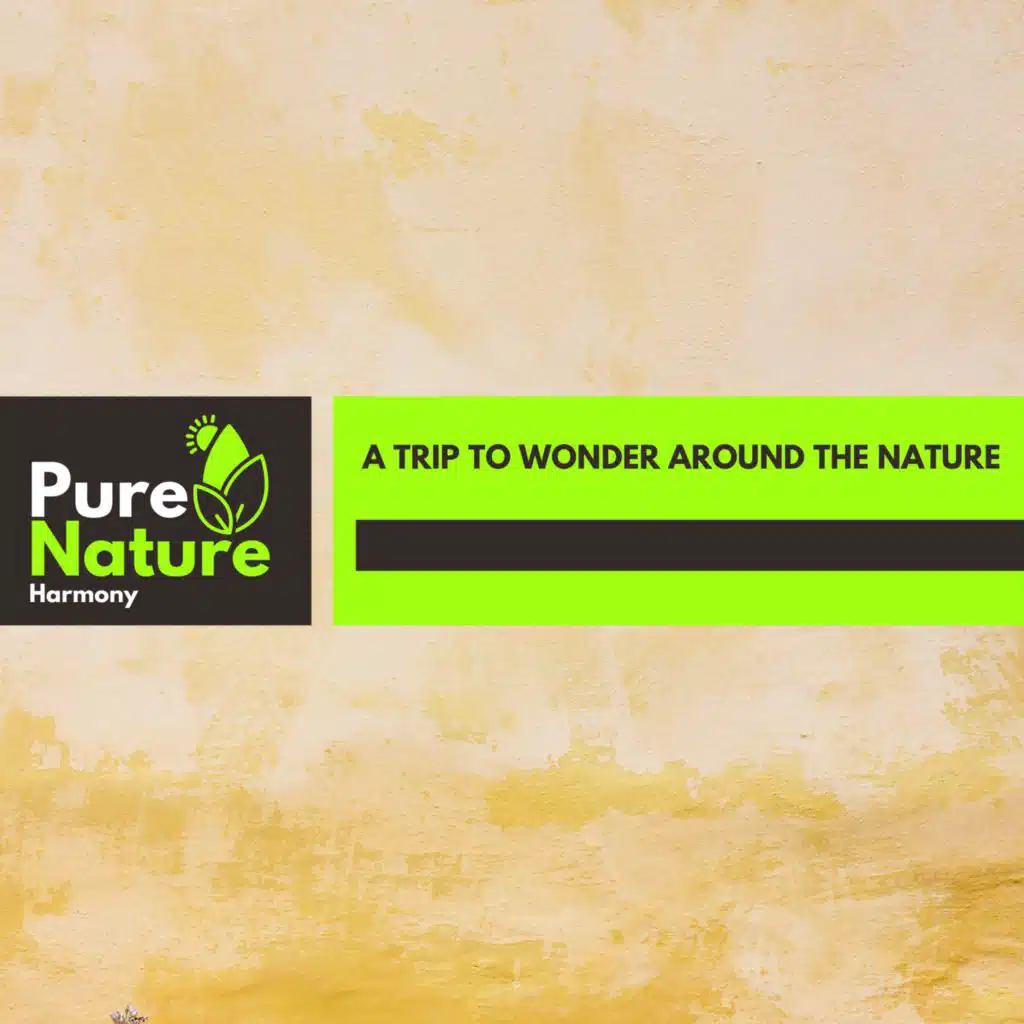 A Trip to Wonder Around the Nature