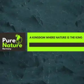 A Kingdom Where Nature is The King