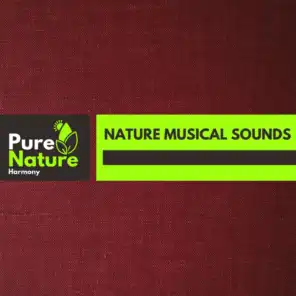 Nature Musical Sounds