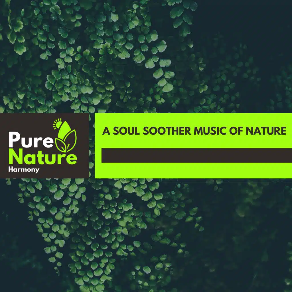A Soul Soother Music of Nature
