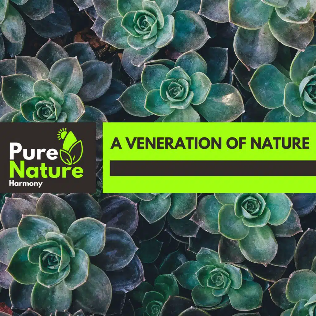 Bubble Hush White Noise Fire Sound