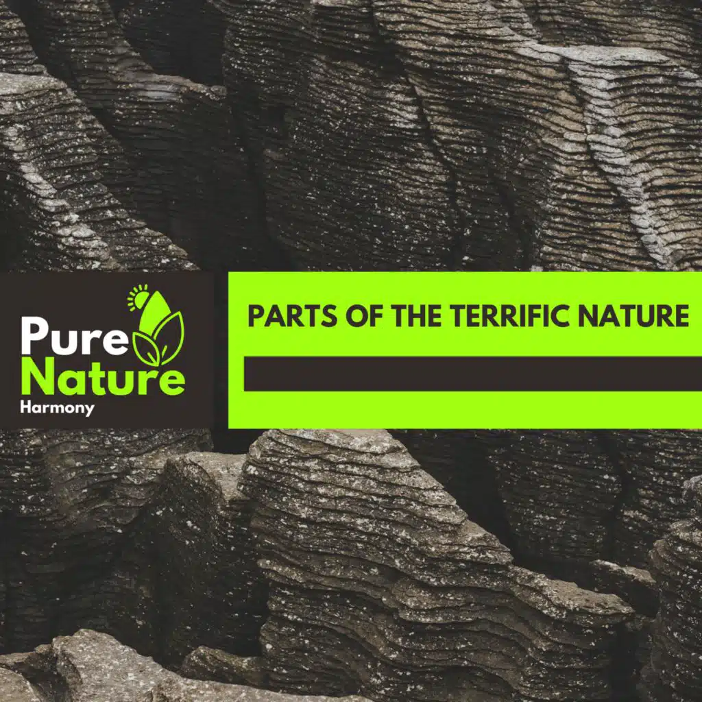 Dexsia Ocean Collection