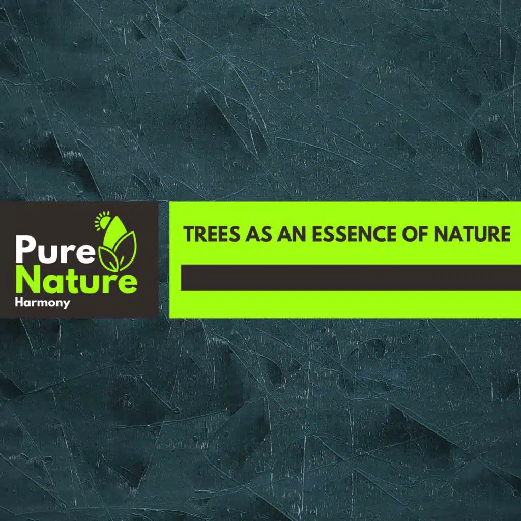 Glossy Ocean Waves Library