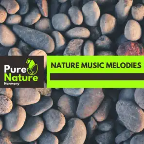 Graceful Waves Nature Music Library
