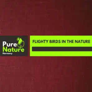 Flighty Birds in the Nature