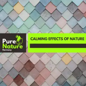 Calming Effects of Nature