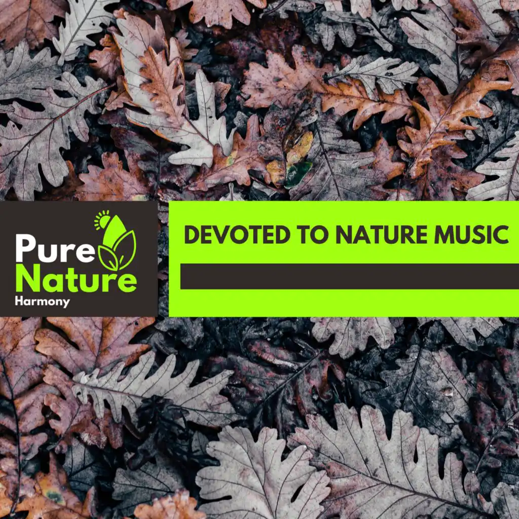 True Nature Blessing Music Collection