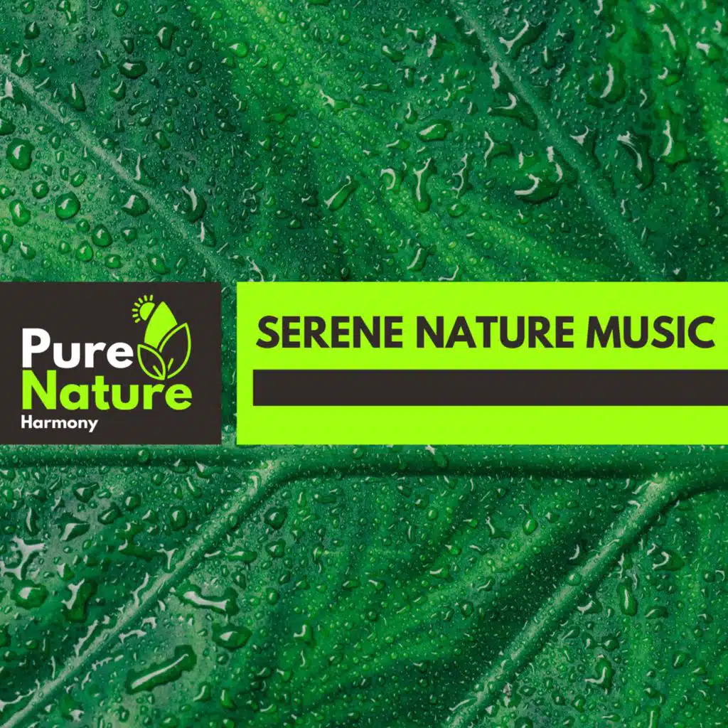 Serene Nature Music