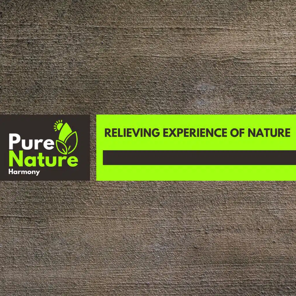 Tangled Summer Forest