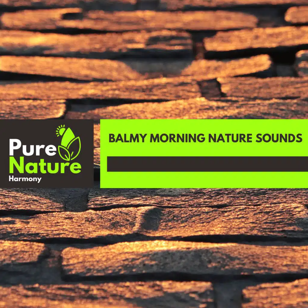 Balmy Morning Nature Sounds