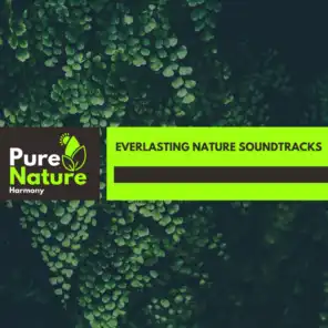 Everlasting Nature Soundtracks