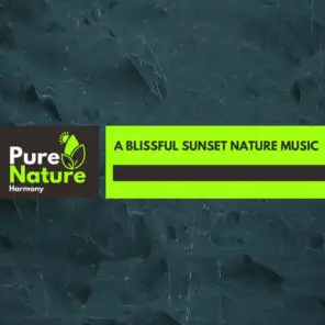 A Blissful Sunset Nature Music