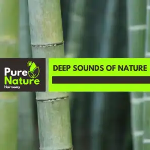 Deep Sounds of Nature
