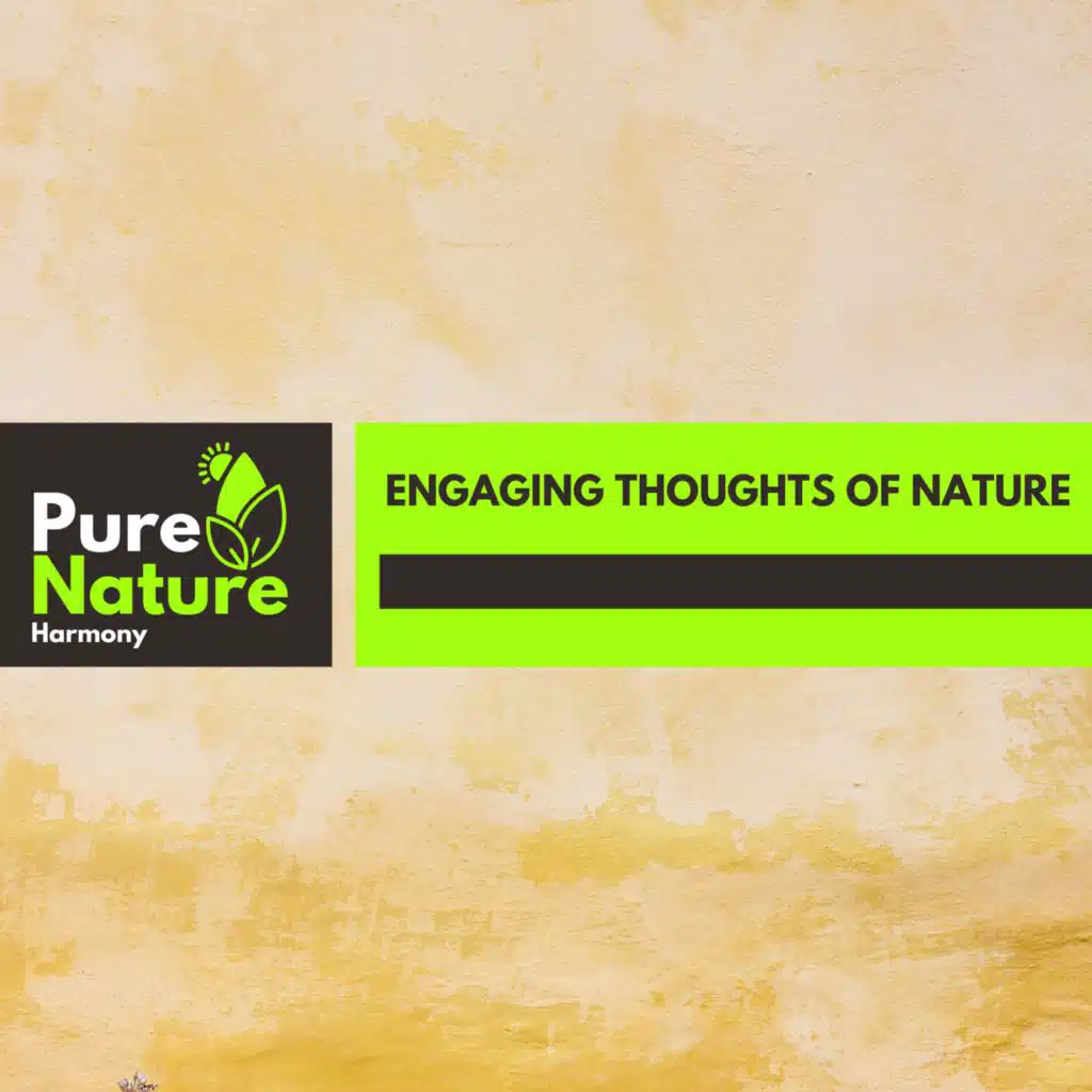 Engaging Thoughts of Nature