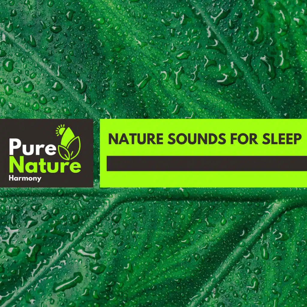 Nature Sounds for Sleep