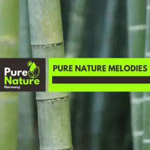 Pure Nature Melodies