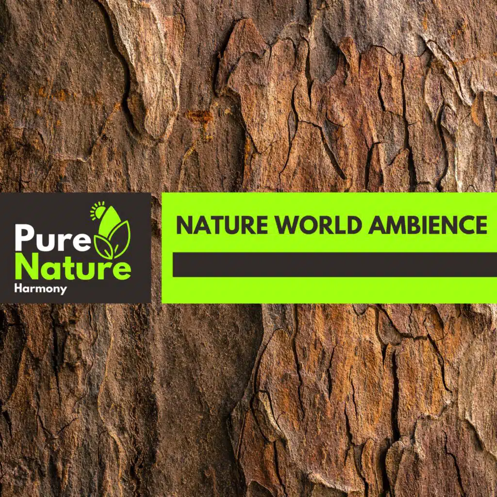 Nature World Ambience