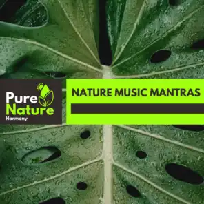 Inspired Nature Beauty Music
