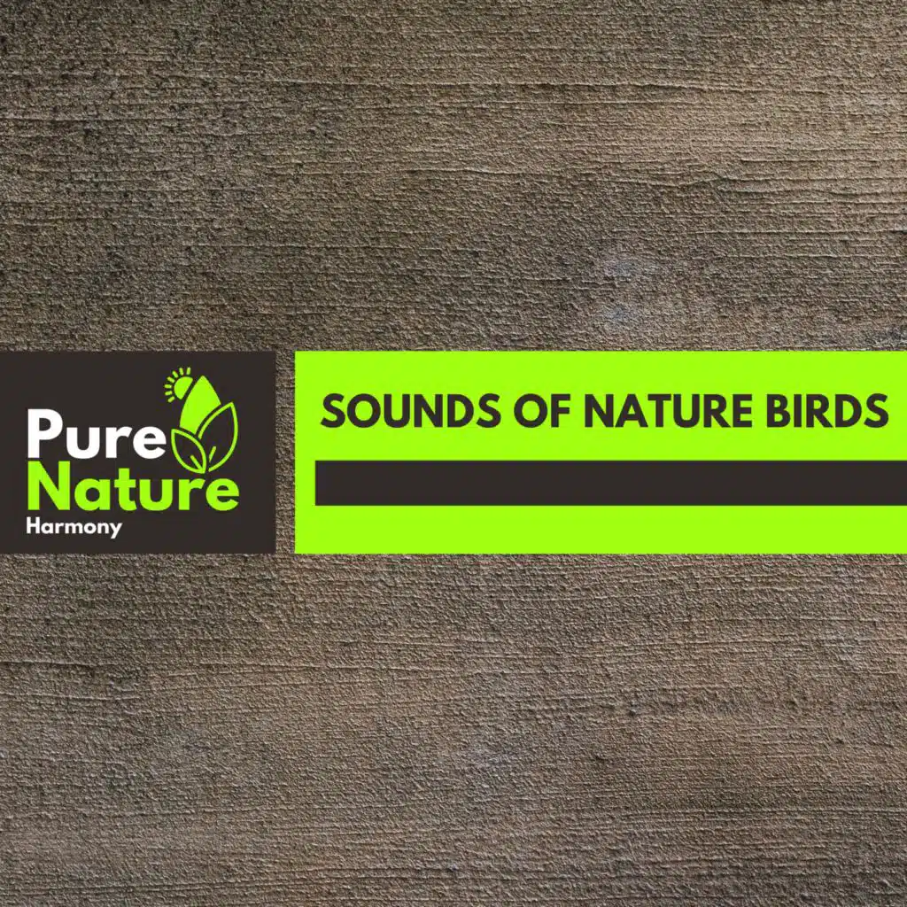 Abundant Rain and Thunder