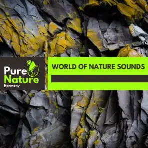 World of Nature Sounds
