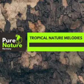 Tropical Nature Melodies