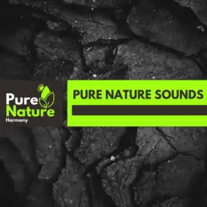 Pure Nature Sounds