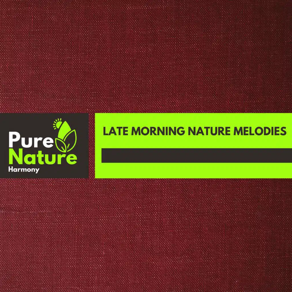 Tropical Summer Rain Melodies