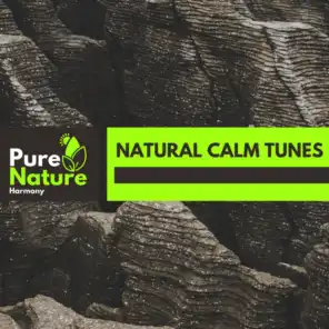 Natural Calm Tunes