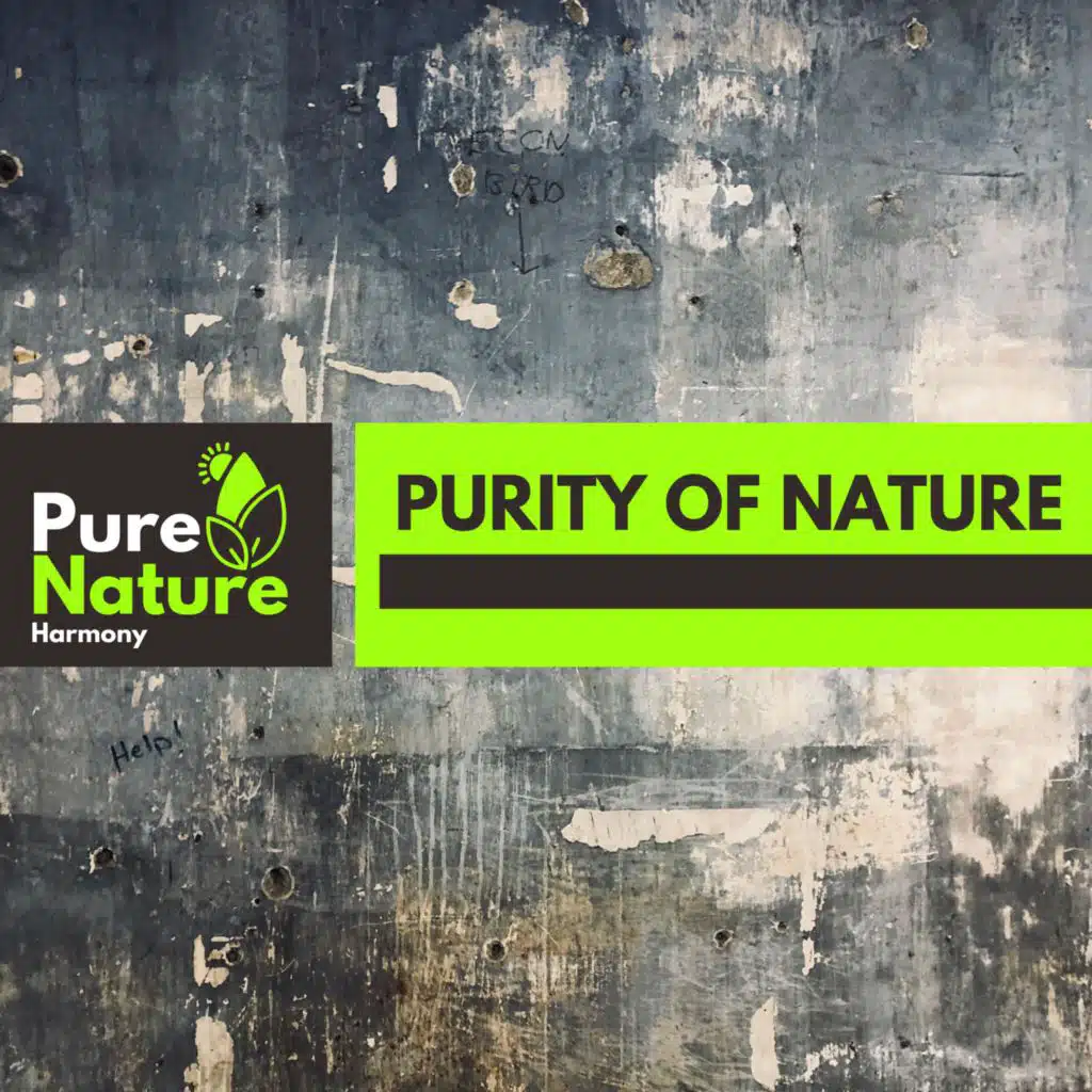 Palm Wood Music Library