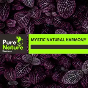 Mystic Natural Harmony