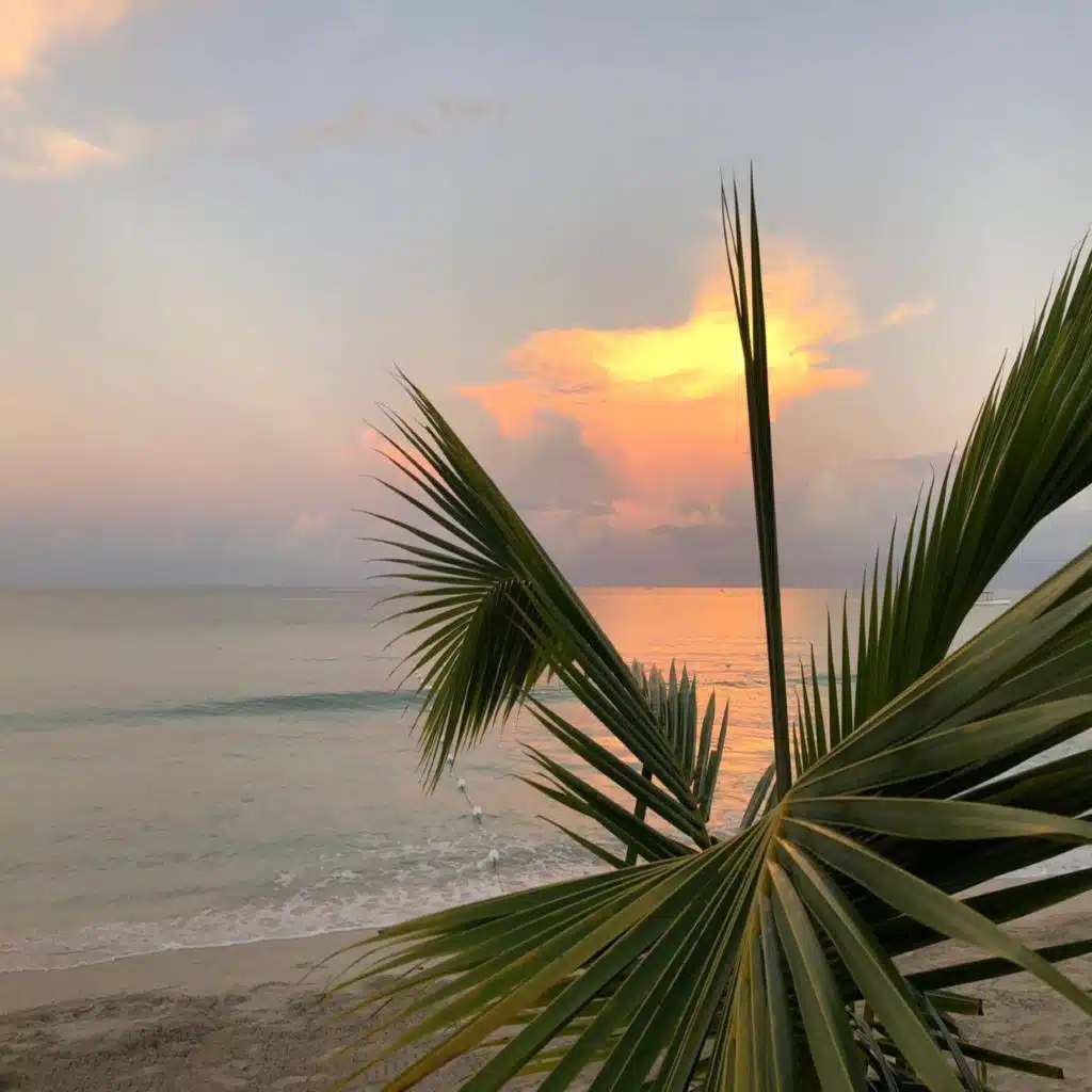 Wagon Music Works Mix Vol 2