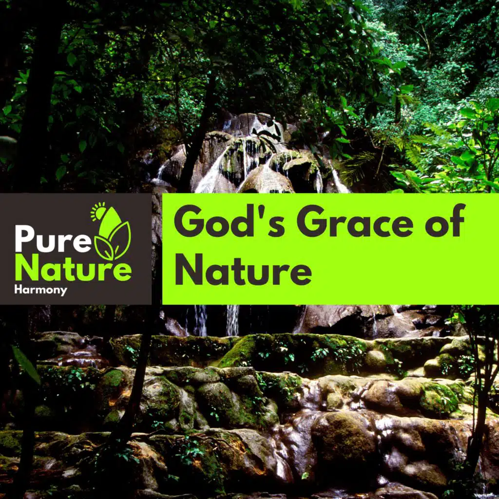 God's Grace of Nature
