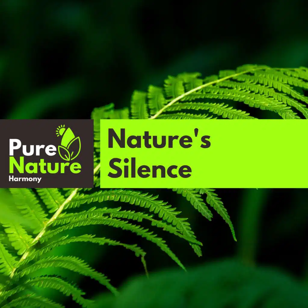 Fire Flames 3D Nature Music