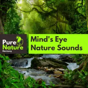 Mind's Eye Nature Sounds
