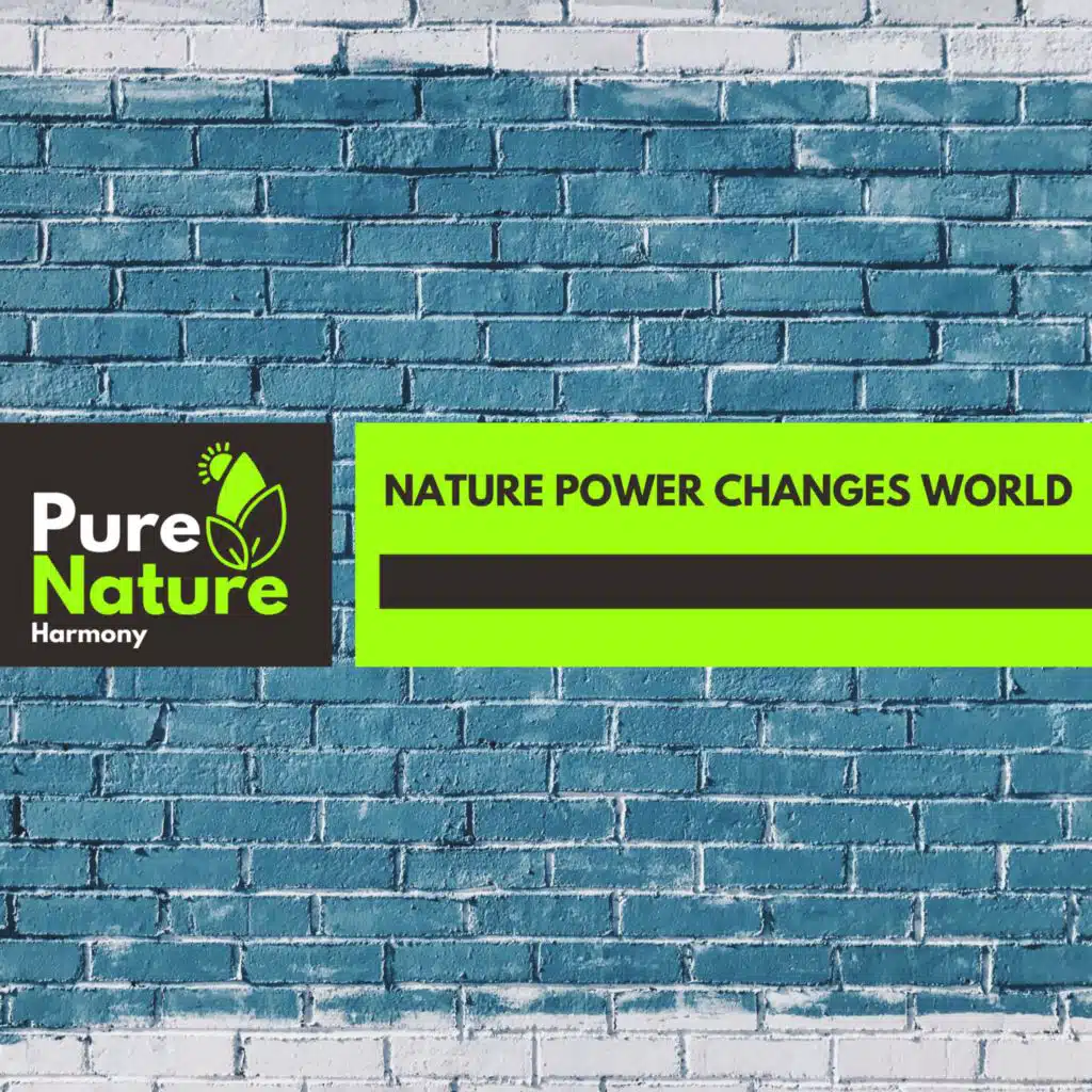 Replenishing Flames 3D Nature Music