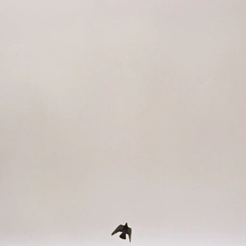 You Know How It Feels