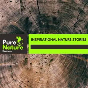 Inspirational Nature Stories
