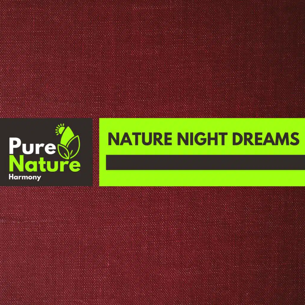 Nature Lifestyle Therapy Music