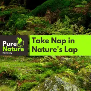 Take Nap in Nature's Lap