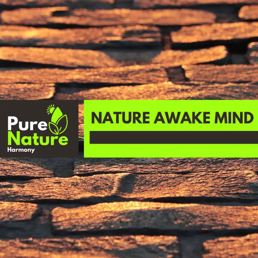 Fire Prominent Waves Project