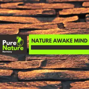 Nature Awake Mind