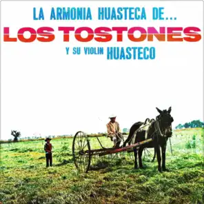 La Armonía Huasteca de los Tostones y Su Violín Huasteco