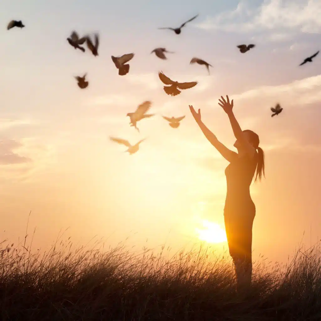 Meditation Music For You & Relaxing Music For You