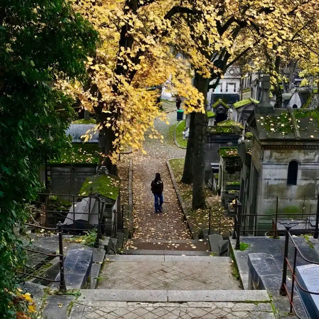Charango Solo en París (En Vivo)