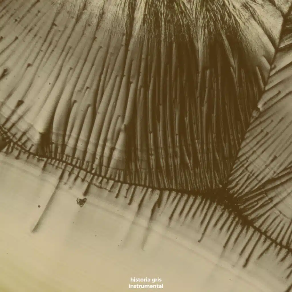 Historia Gris Instrumental