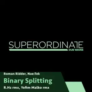 Binary Splitting (R.Hz Rmx)