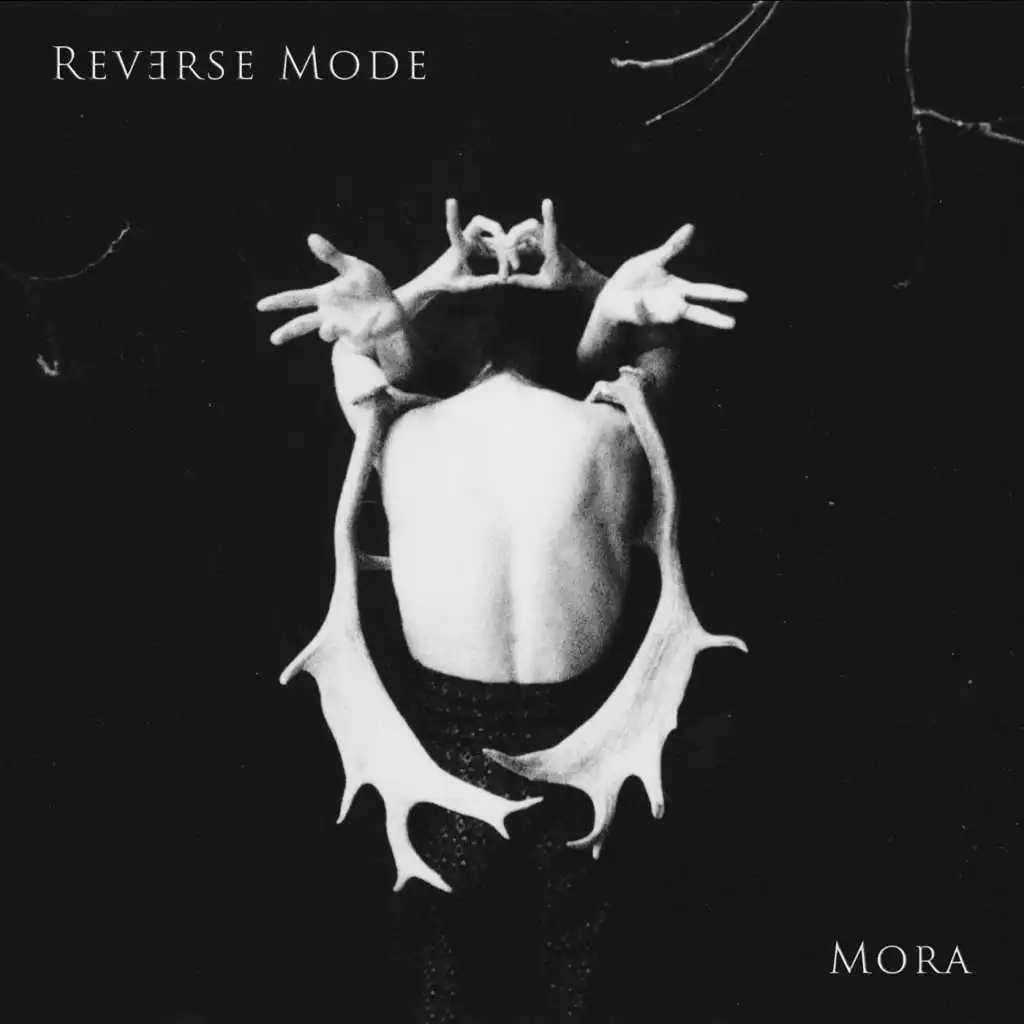 Reverse Mode